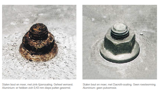 a turtle next to a small bottle